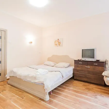 Cozy Near Olympic Stadium Appartement Kiev